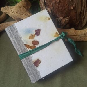 Grimoire Eclosion de roses n°2