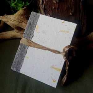 Grimoire Folie du Calendula n°1