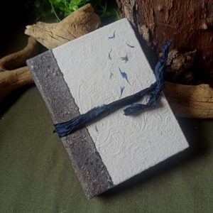Grimoire Mémoire de bleuets n°2