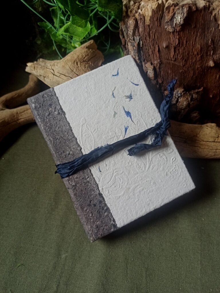 Grimoire Mémoire de bleuets n°2