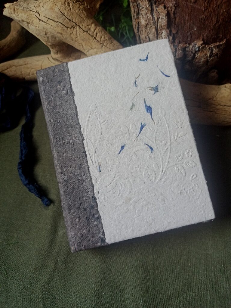 Grimoire Mémoire de bleuets n°2 – Image 2