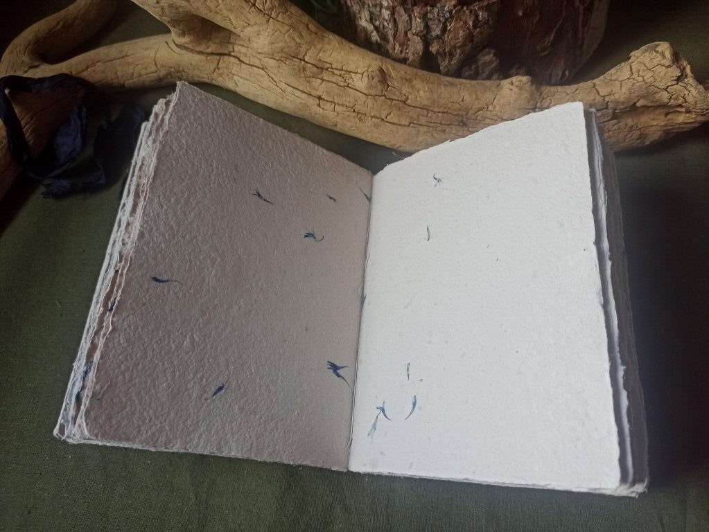 Grimoire Mémoire de bleuets n°2 – Image 4