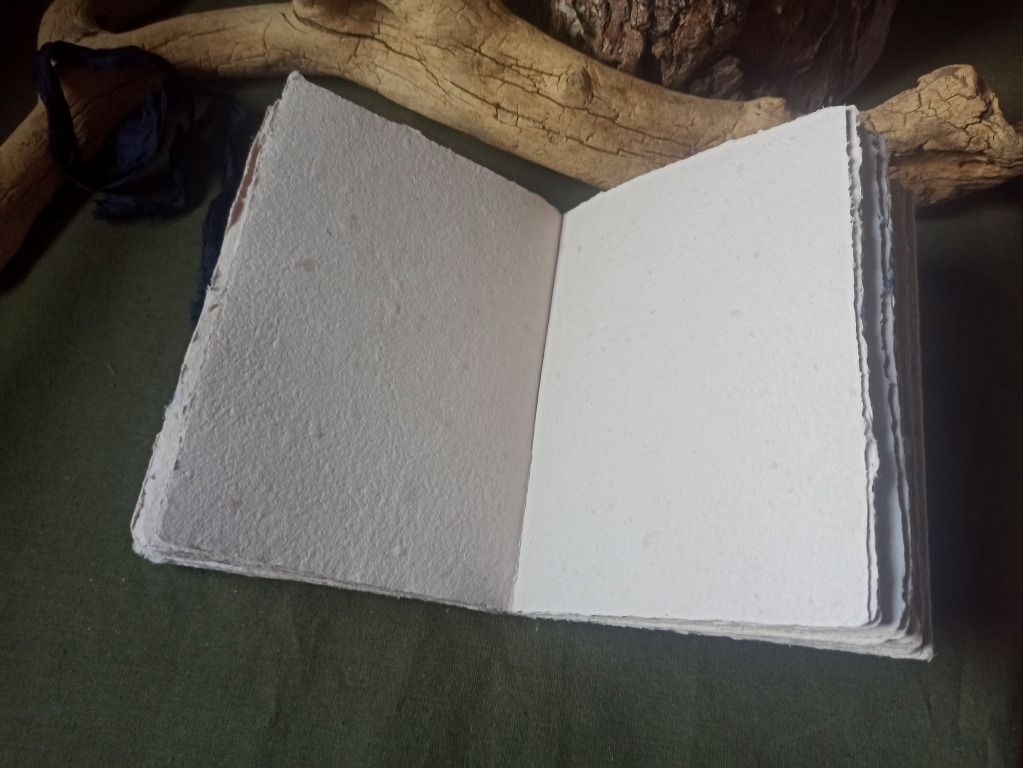 Grimoire Mémoire de bleuets n°2 – Image 5