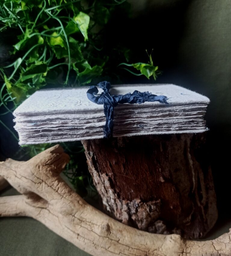 Grimoire Mémoire de bleuets n°2 – Image 6