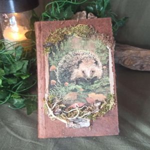 Le grimoire d'Aélormir (gardien de la clairière lumineuse)