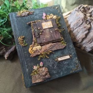 Le grimoire Il était une fois n°2