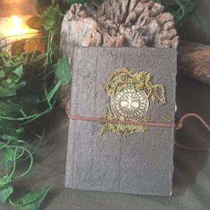 Le grimoire L'arbre monde