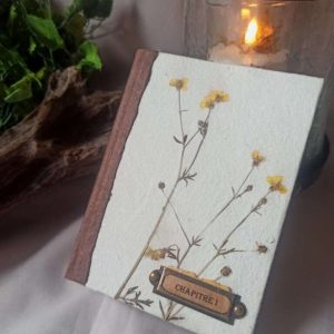 Grimoire L'herboriste n°1