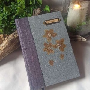 Grimoire L'herboriste n°6