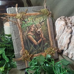 Le grimoire d' Eilyara (L'écho du coeur vert)