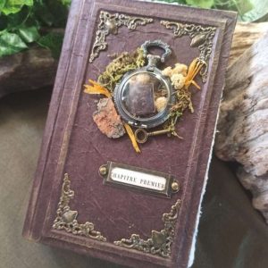 Le grimoire l'Alchimiste n°6