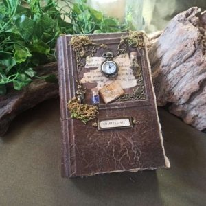 Le grimoire l'Alchimiste n°5