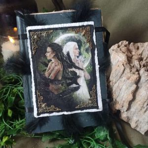 Le grimoire de Maévael (les voix des terres oubliées)