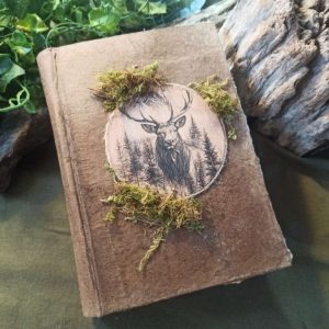 Le grimoire d'Anhaël (Mystique des rivières anciennes)