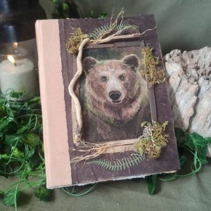 Le grimoire de Caelbryn ( Le protecteur des chemins cachés)