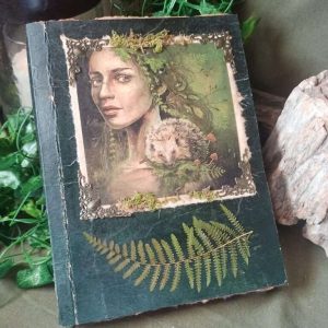 Le grimoire de Willomara (gardienne du souffle du vent)
