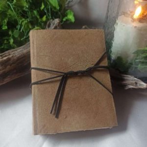Grimoire Le nomade n°1