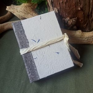 Grimoire Mémoire de bleuets n°1