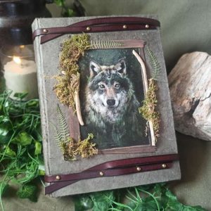 Le grimoire de Darethfaël (sentinelle du royaume verdoyant)
